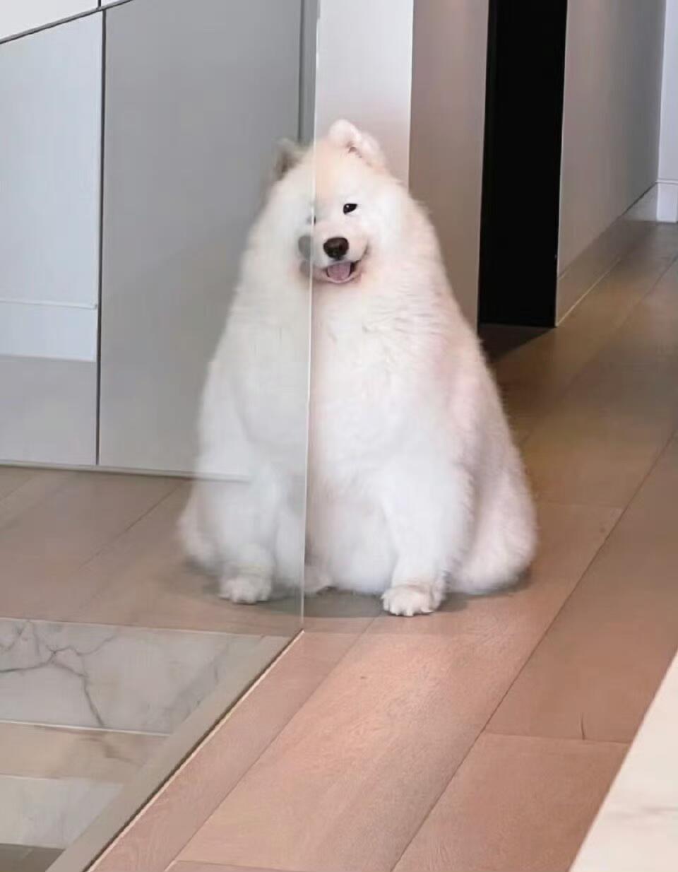 还没吃早饭的朋友可以咬一口饭团子耶 ​​​