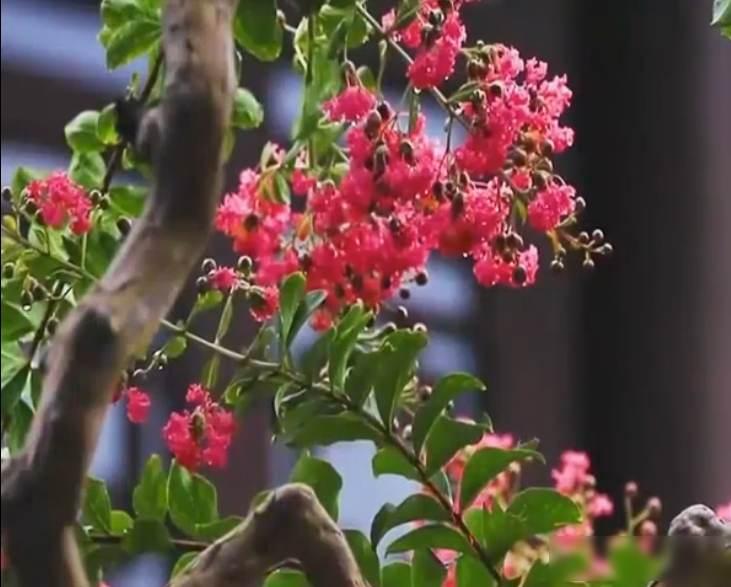 发现了没有？在学习方面，凡是家长比孩子还要上心的，孩子的成绩大都一般般，甚至可能