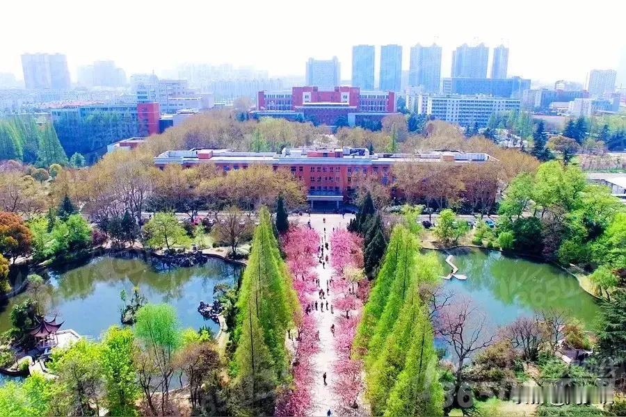 “真狠！”一位网友说，和博士舍友吃饭，这位博士想拿到副高后就准备躺平，结果今年新