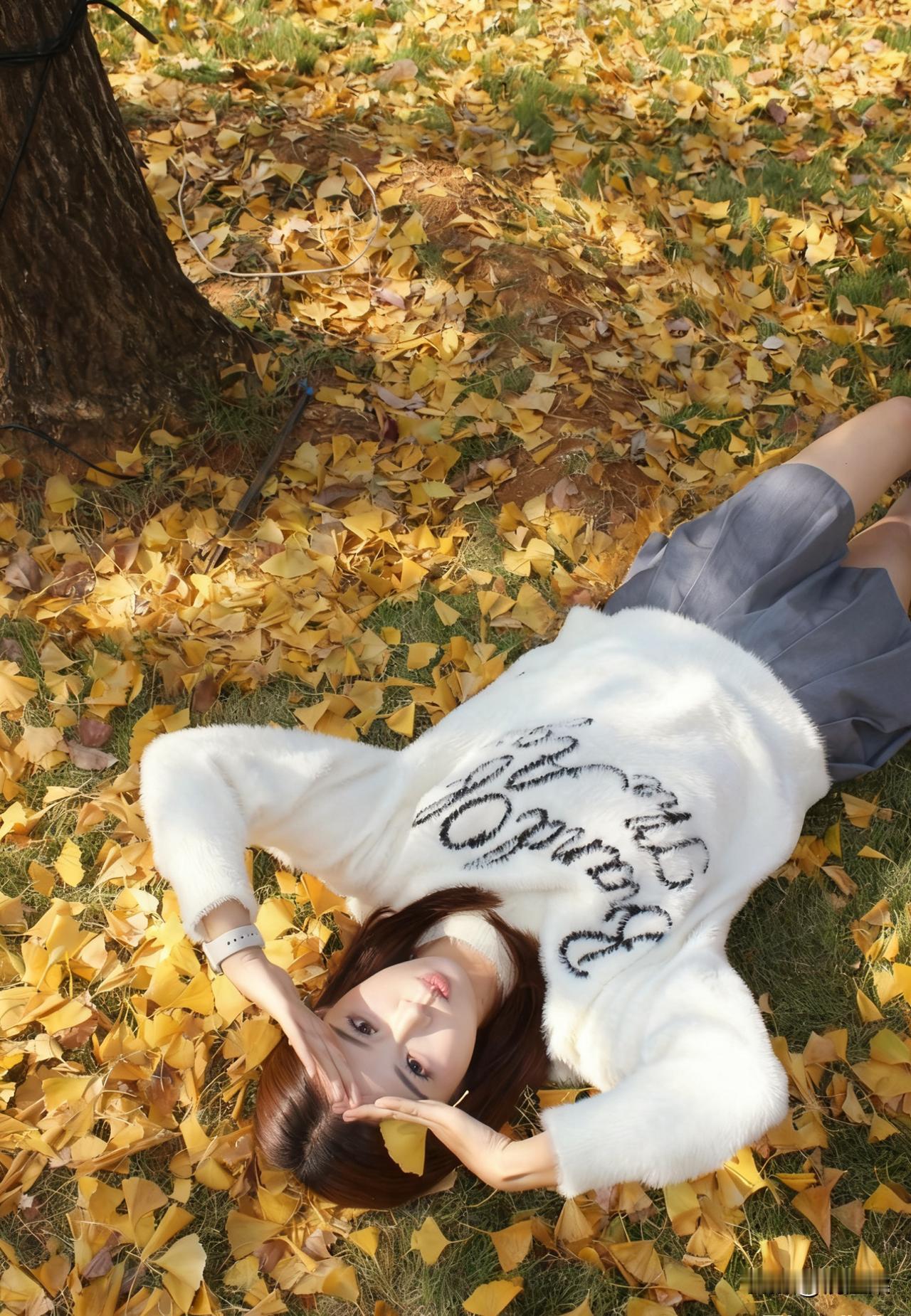 秋季的拍照圣地
银杏树下