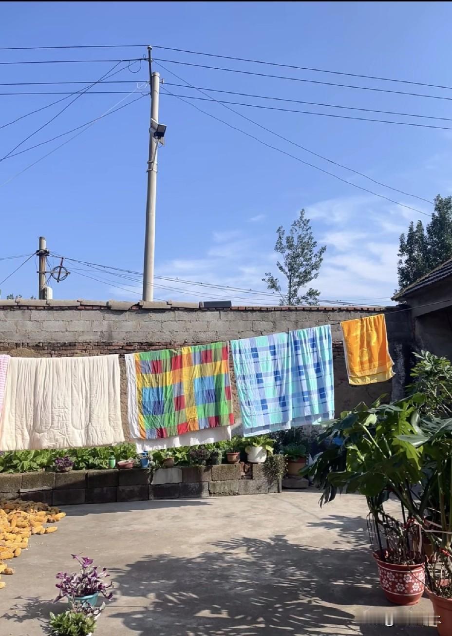 家中长辈常说：“宁可在外冻着，也别在屋里阴着。南方的冬天，湿冷入骨，空气中仿佛浮