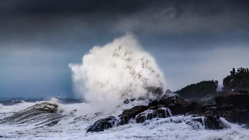 受台风“海鸥”影响，菲律宾总统马科斯6日宣布全国进入灾难状态。这台风危害可太大了