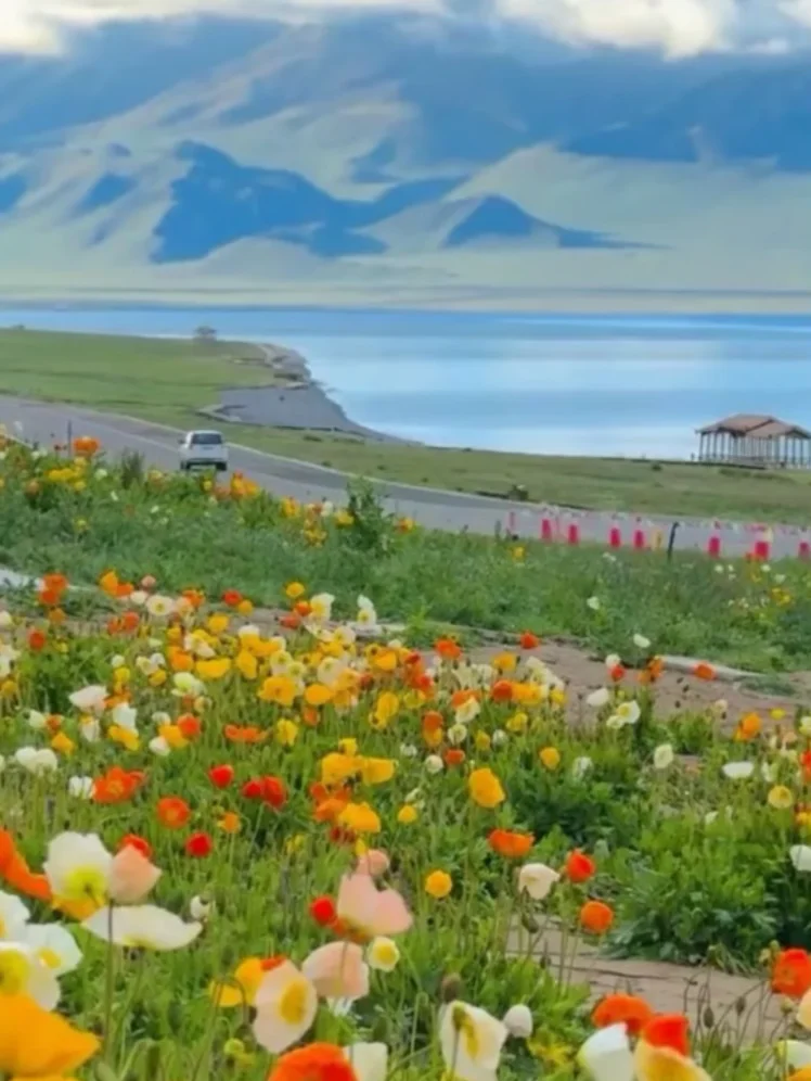 这山这湖这花，谁看了不迷糊