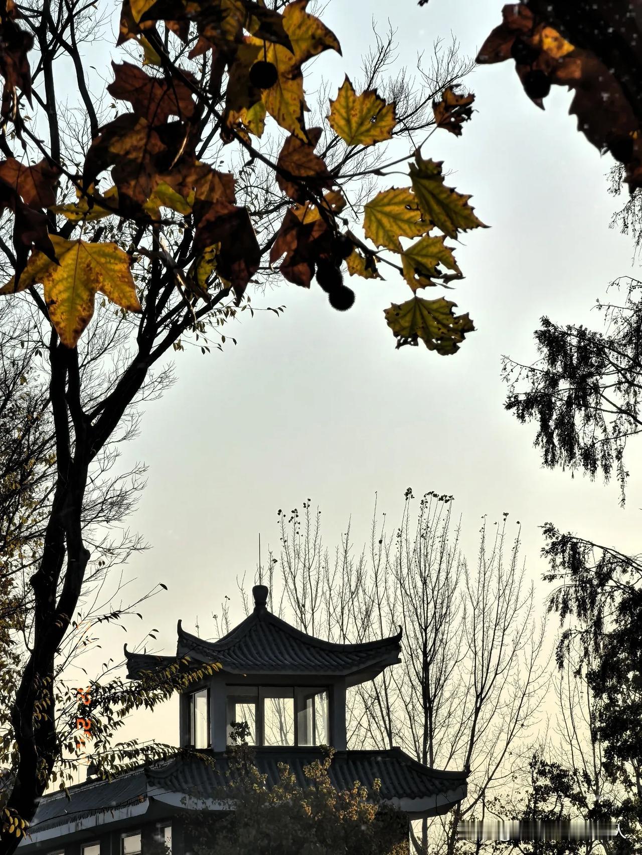 冬日清晨，由广陵返延陵，行至瓜洲，见迷人景色，不愿前行，遂先行五味以饱口欲，再观