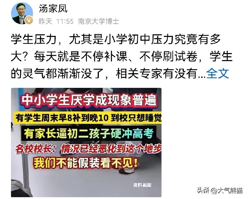 看到汤家凤说的“灵气渐渐没了”这六个字，一下子就破防了。
现在孩子学习压力实在太