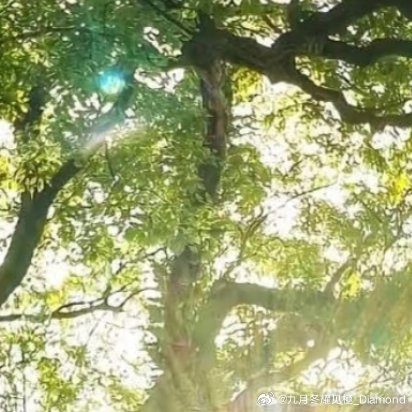 阳光信用每日一善 阳光信用每个人的心中都有一道光，那就是自己对未来美好生活的憧憬