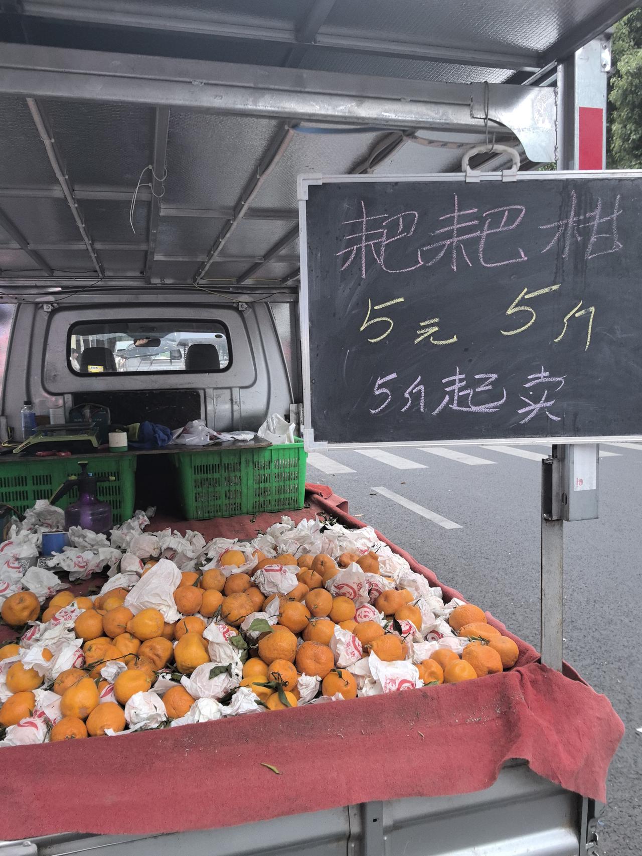 有没有发现，现在成都市场上的耙耙柑，橙子特别便宜？品相质量差的，只要一块钱一斤。