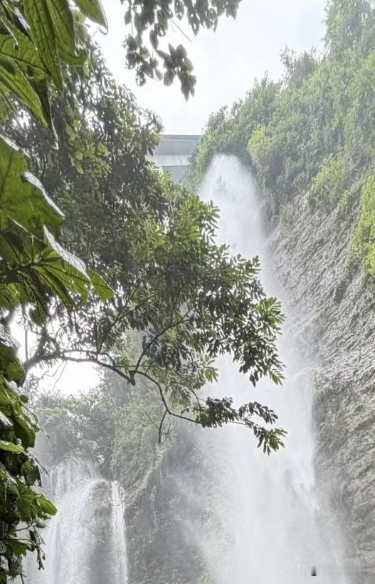 夏日生活打卡季浓绿枝叶框住山间飞瀑，水流顺着岩壁奔涌而下，水雾氤氲漫开。山林浸在