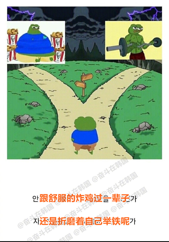 无法避免的30岁之后的选择 ​​​海外新鲜事 热点现场 ​​​