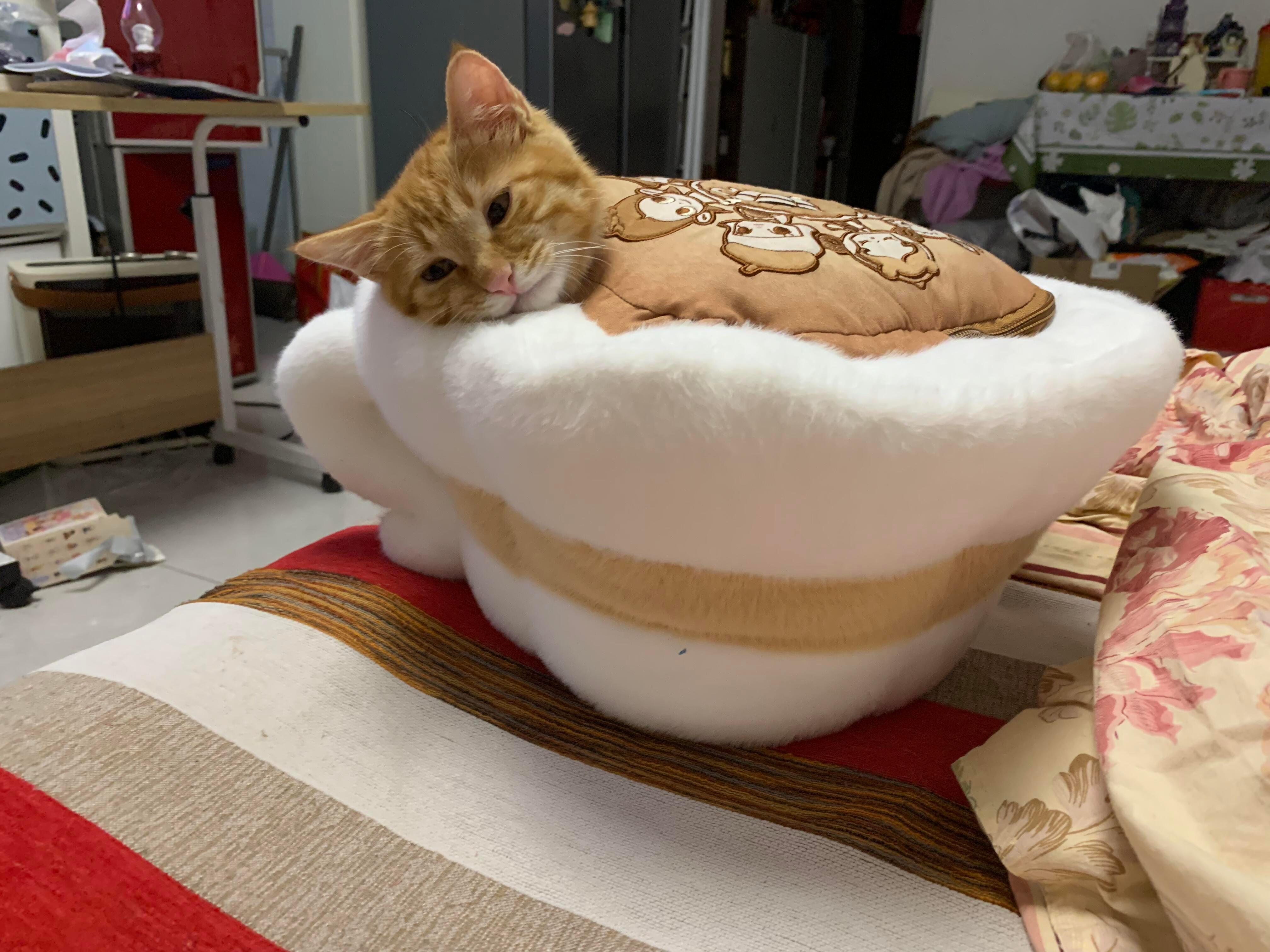 这杯小猫拿铁一看就很好喝