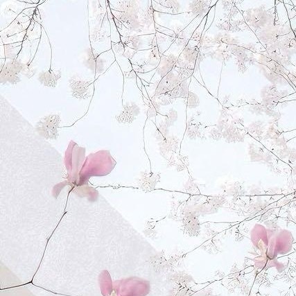 不管做什么，都不要急于回报！因为播种和收获不在一个季节！但只要你播下种，持续下去