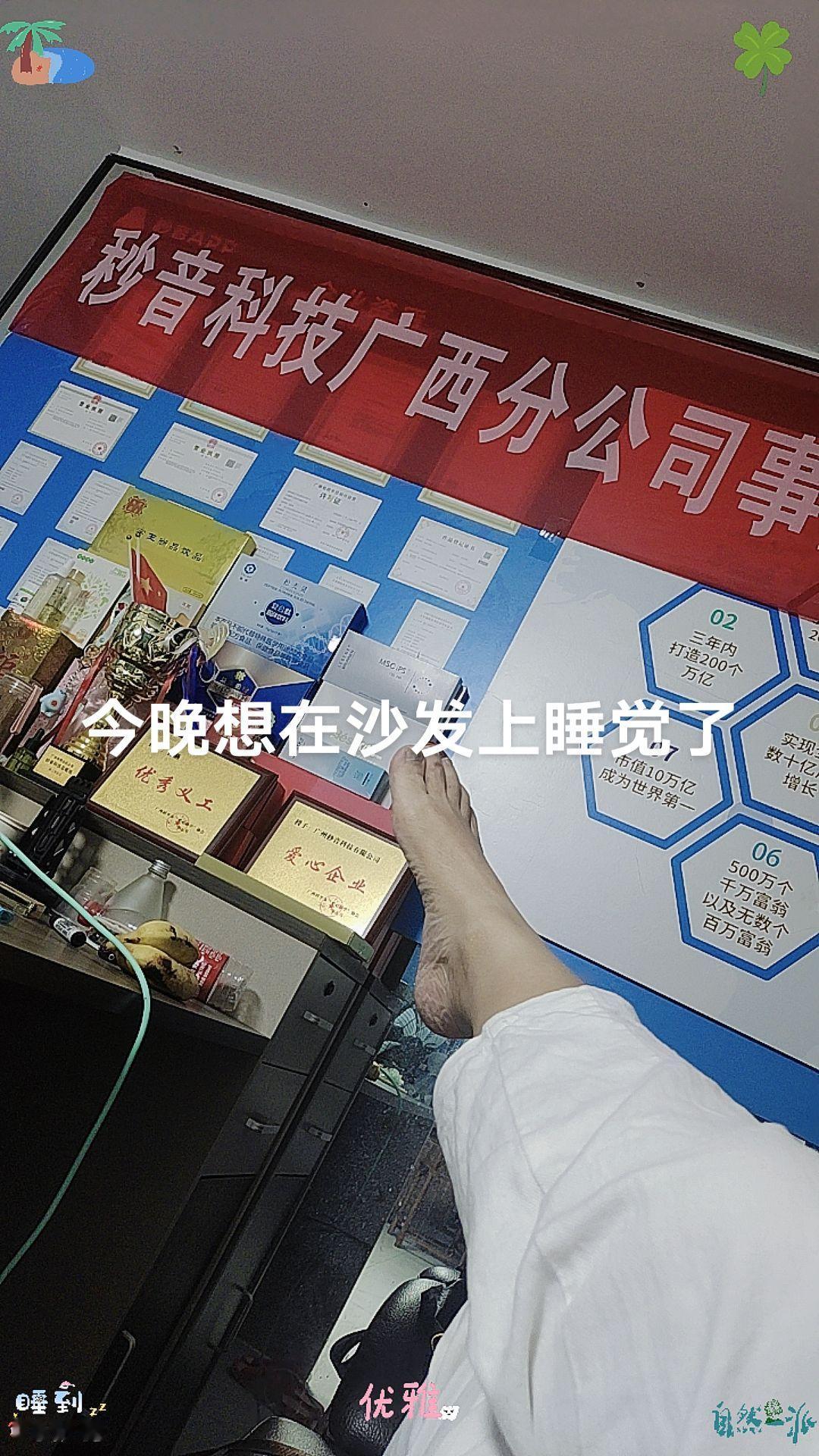 今晚想在沙发上睡觉了