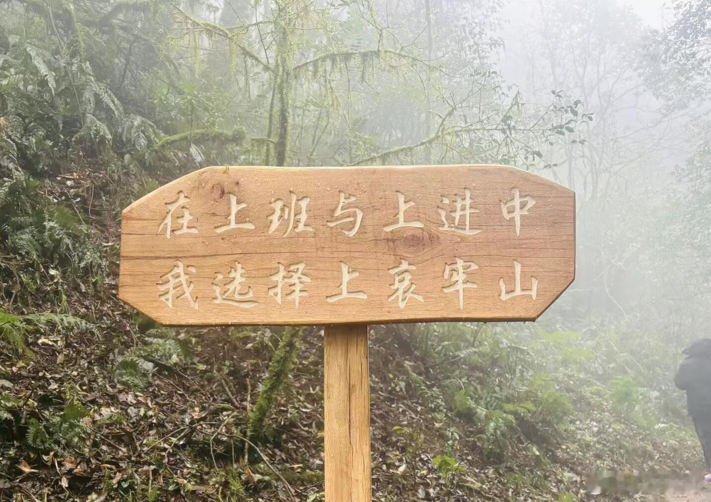 哀牢山哀牢山地形复杂，气候多变，危险性，包括缺氧、冰层坍塌、泥石流野生和动物威胁