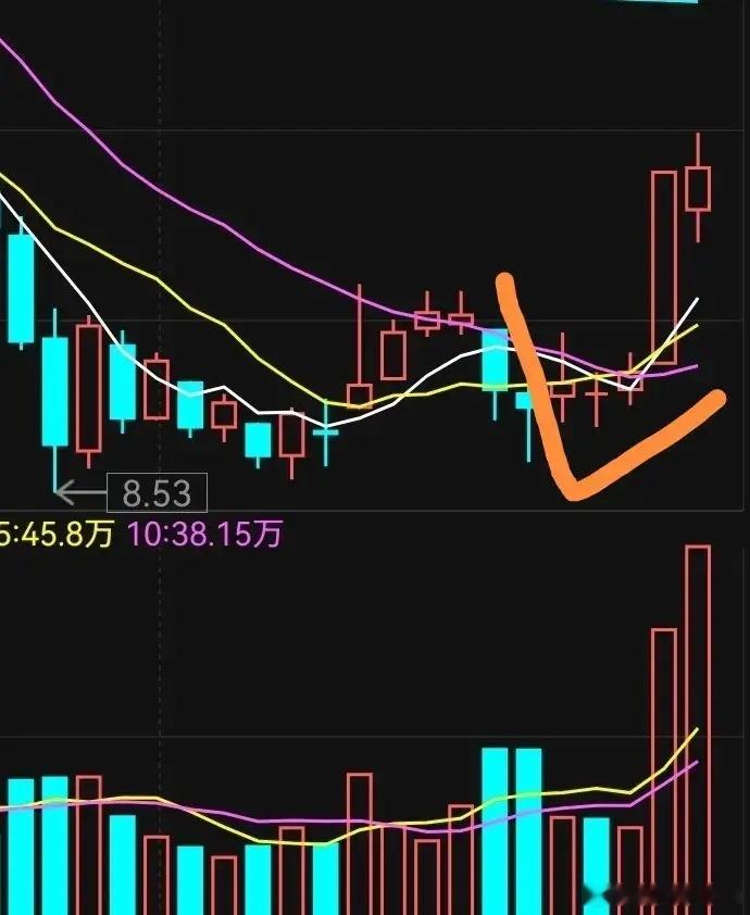 散户怎么在大盘调整选出你的牛股————主力强势洗盘手法选股    散户要想在股市