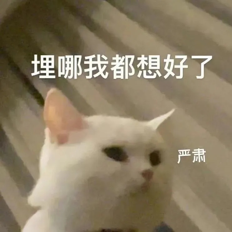 Labubu大补货后黄牛发声热度可能就一下，估计两个月后就烂大街了[允悲]我准备