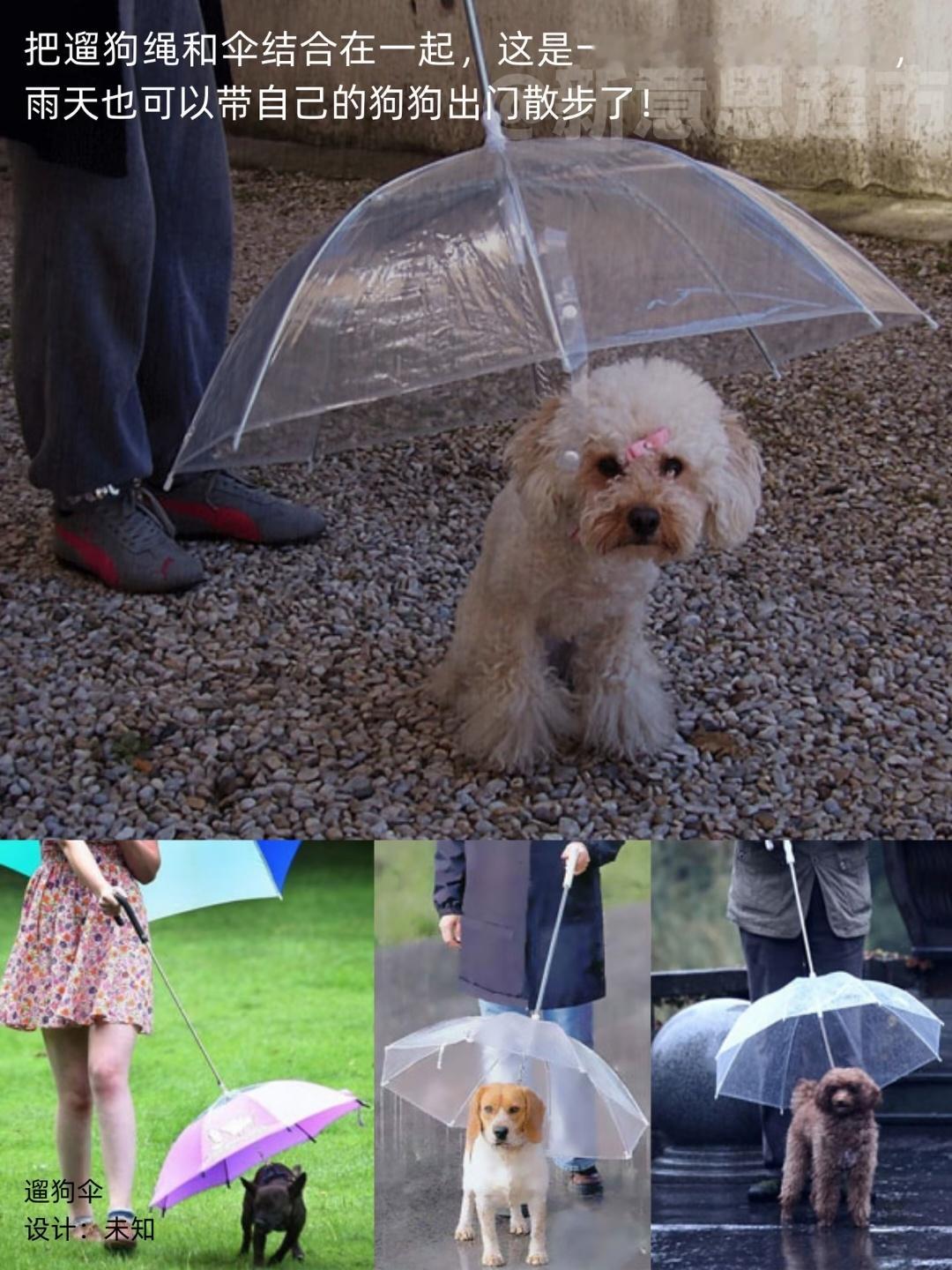 这些伞脑洞真大！☂️ 