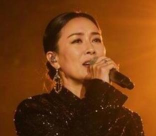 那英在2026年9月12日的南京演唱会上，对《山沟沟》进行了新编，现场反馈相当热