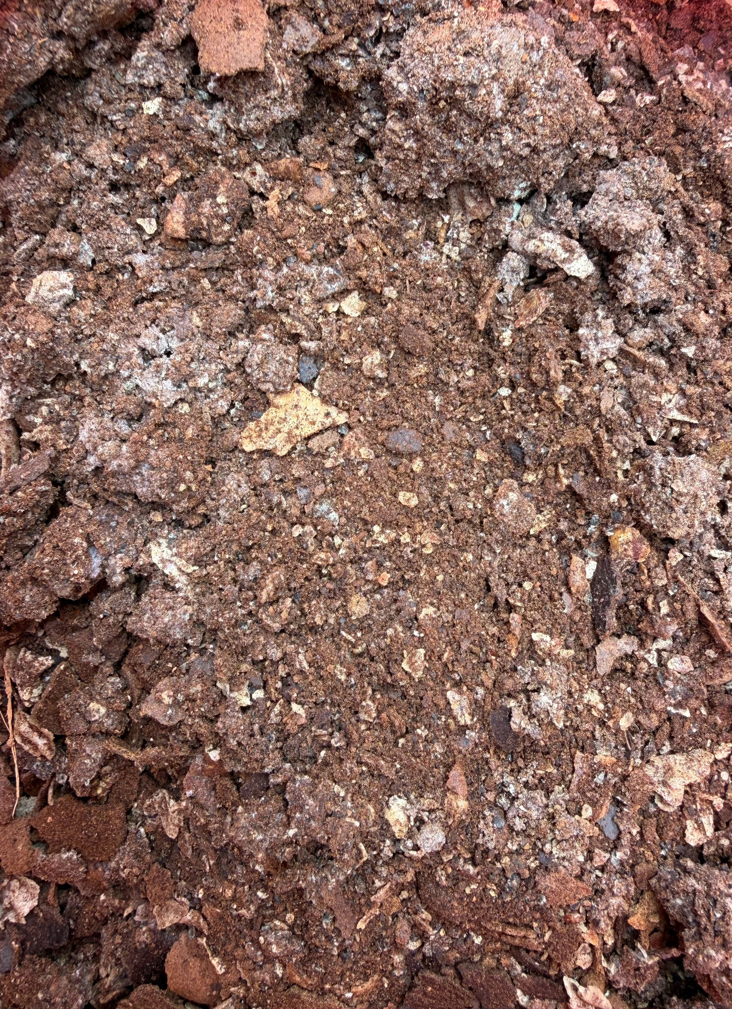 【美部长叫嚣加拿大引入中国车肯定后悔】确实会后悔，后悔没早引进村里最近有件新鲜事