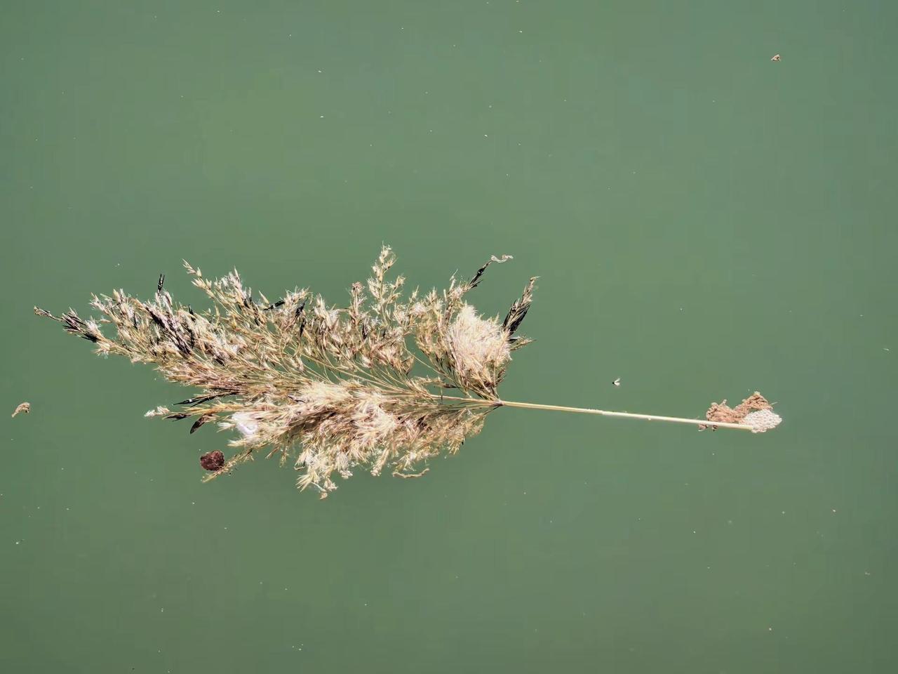 春日记录。摄影艺术 在风景中寻求治愈。摄影