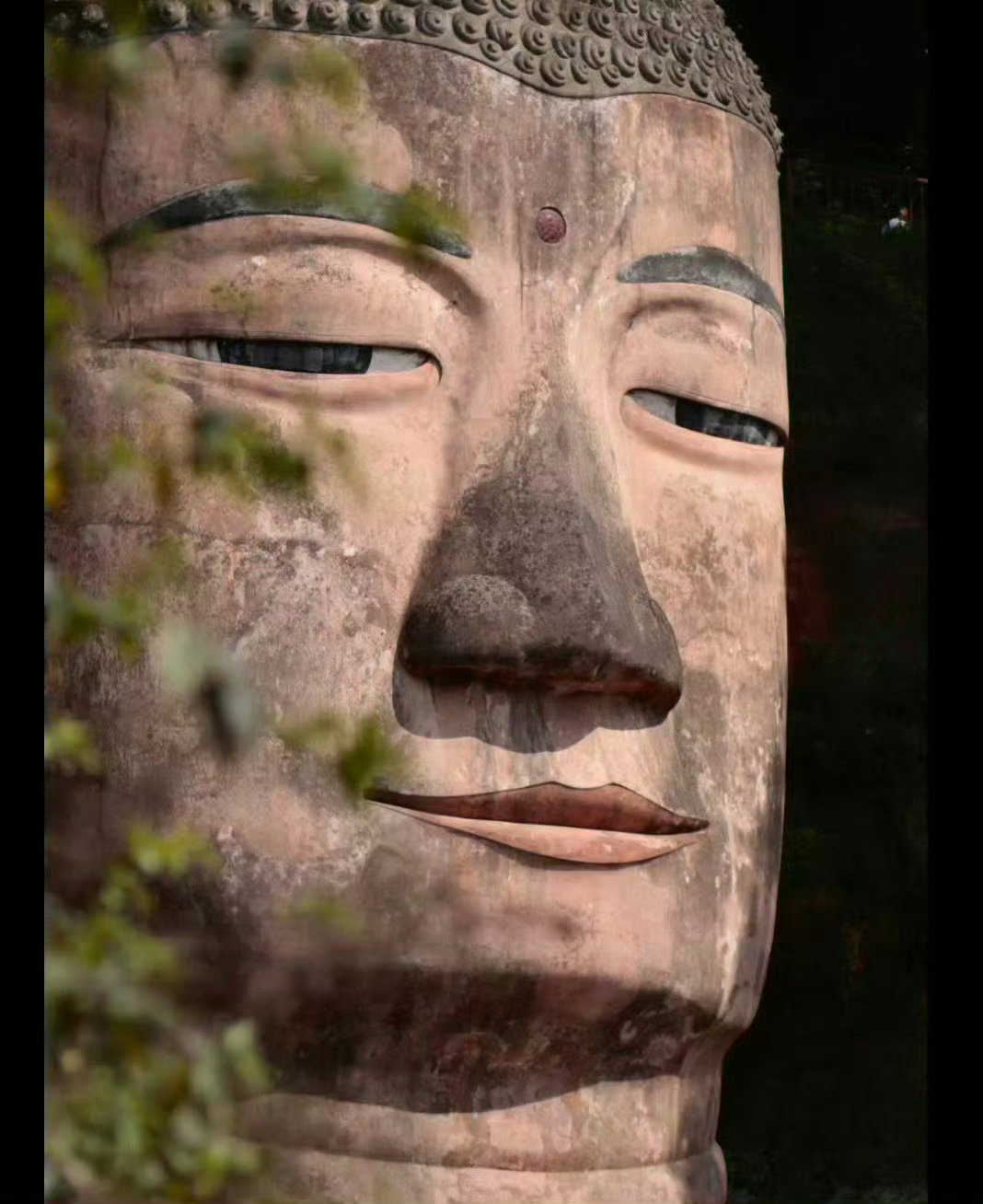 早上乐山大佛 刷到请不要无视 真的很灵~ ​​​