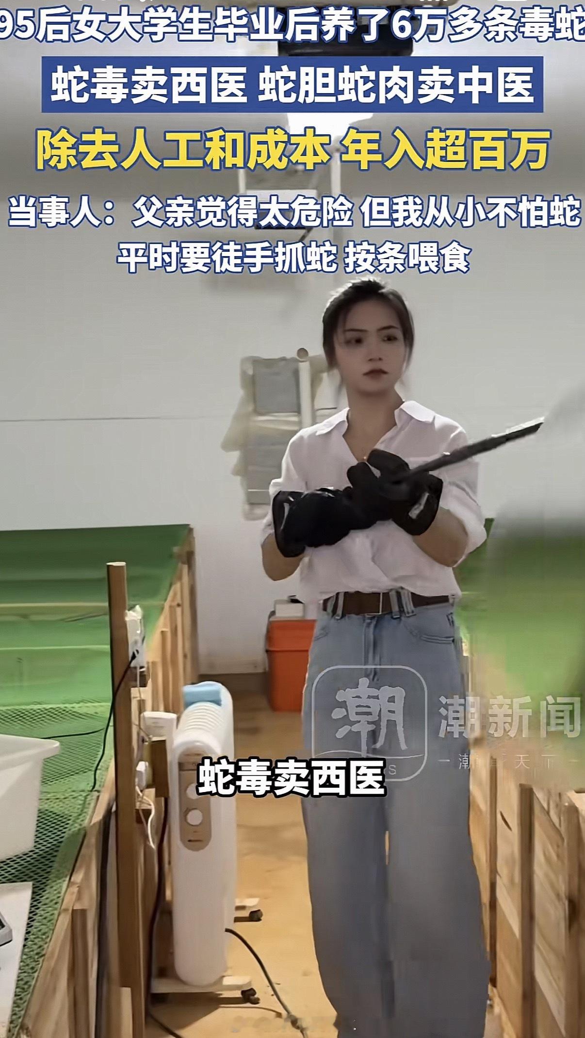 95后姑娘养6万多条毒蛇年入百万总结：毕业了3年 工作没起色，回家继承了老爸的蛇