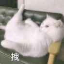 语宁热谈娱乐