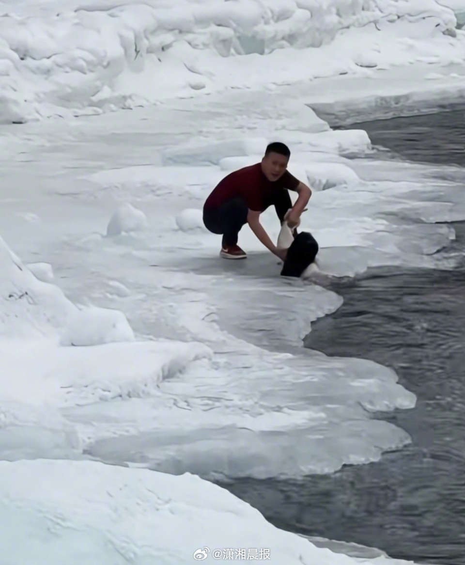 【#母女掉入冰河险被冲走游客合力救人#，#喀纳斯景区回应母女掉冰河险被冲走#：人