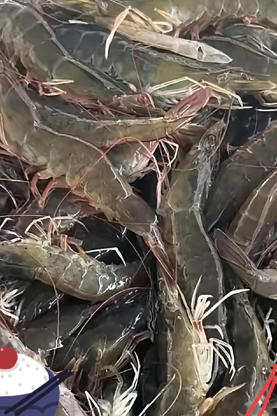 夫妻俩买虾双双忘付钱，一顿美味下肚才发现尴尬大乌龙
 
昨晚和老公一起去买虾，称