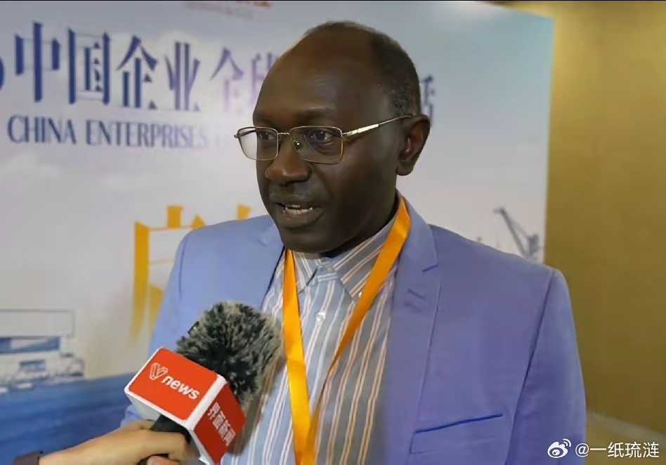 非洲这招，比印尼还狠非盟议员乔布直言，以非洲矿产市场交换中方全套制造与AI技术，