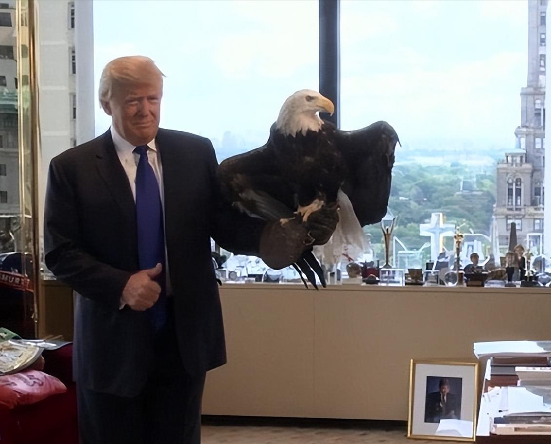 这一次中国绝对不能惯着特朗普的任性，让他自己去玩吧，喜欢售台武器就去出售吧，反正