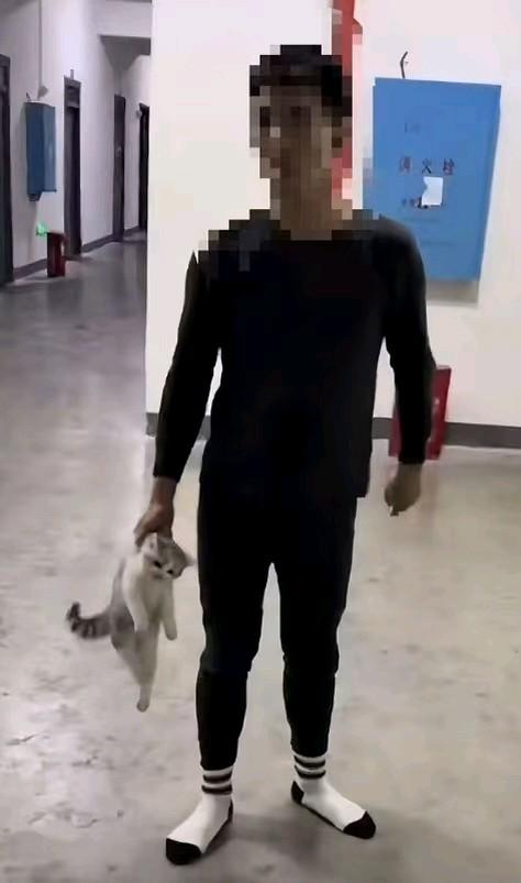 暴摔小猫的教官已经被辞退了！为学校点赞！学校还致函其所属公司要求予以严肃处理。