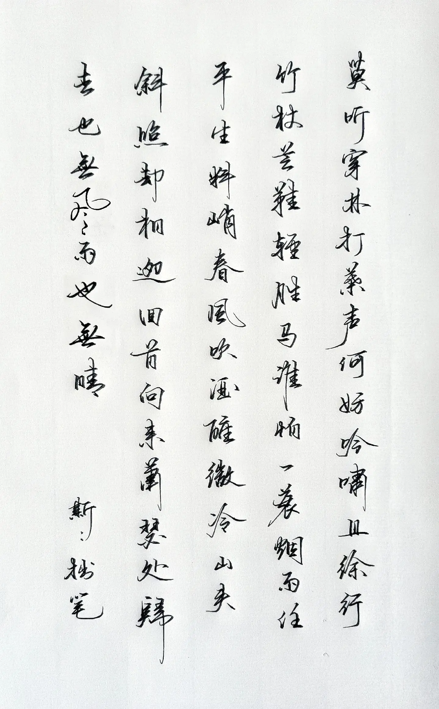 写字 古诗词 定风波 硬笔行书 写字是一种生活