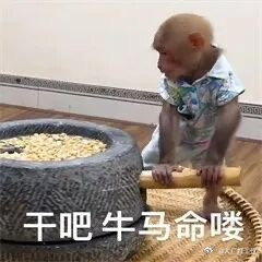和打工吗喽就这样低山臭水遇知音