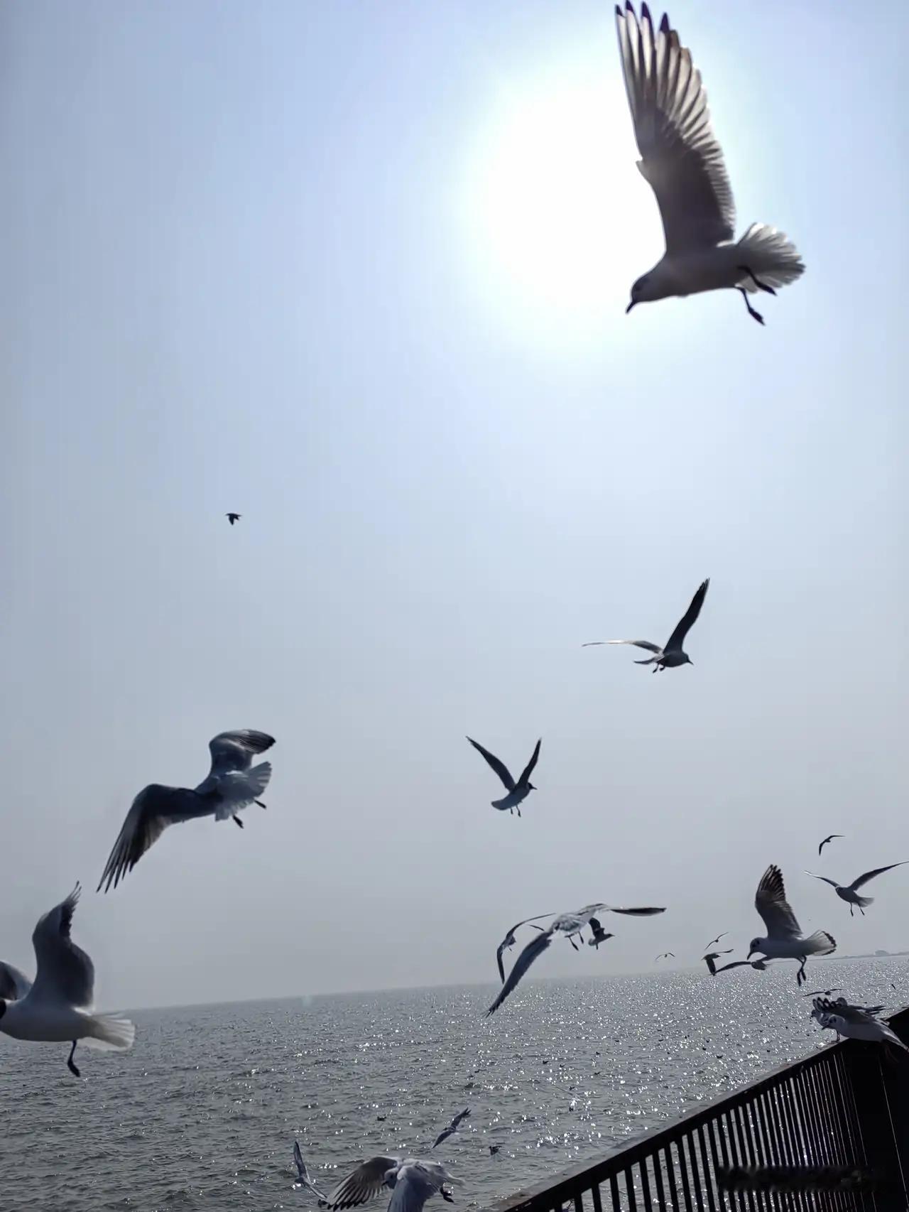 完整榜单
退休后你会选择去上老年大学吗？

说到老年大学，很多人第一反应可能是“