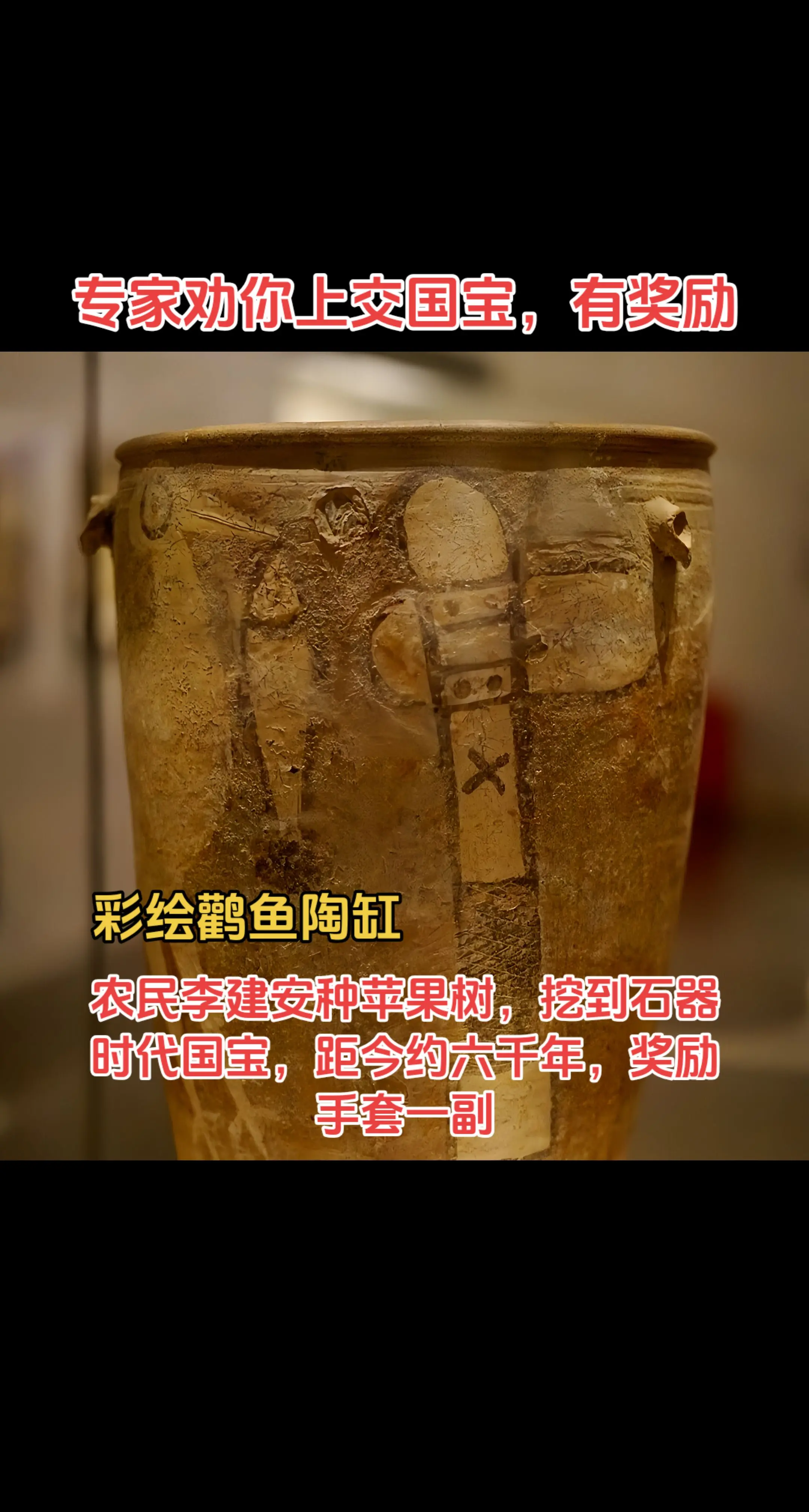 专家劝你有国宝要上交，有奖励…