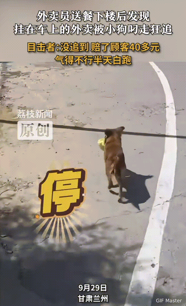 瞒不住了！这下好了，不仅我知道了，全网也都知道了！

甘肃兰州，外卖员送餐下楼后