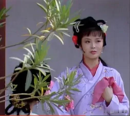 恭王府与花枝胡同几乎是挨着的，紫禁城离花枝胡二里半多一点。
其实在柳湘莲与尤二姐