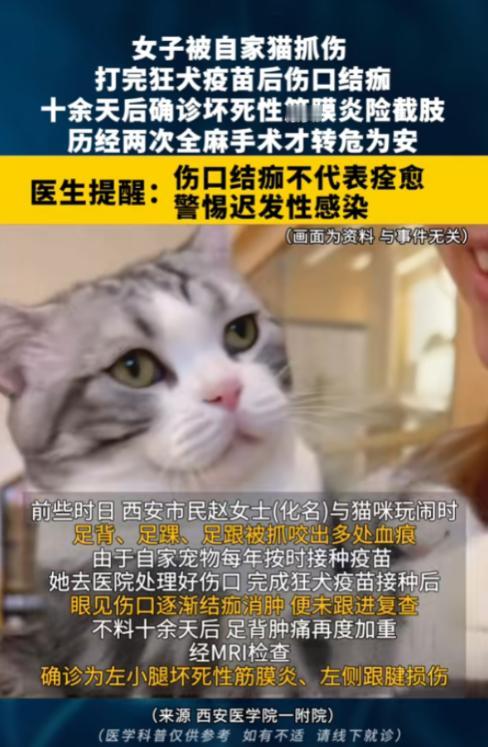 悲剧还是发生了！8 月 12 日报道，陕西西安，一女子被自家猫抓伤，她打完狂犬疫