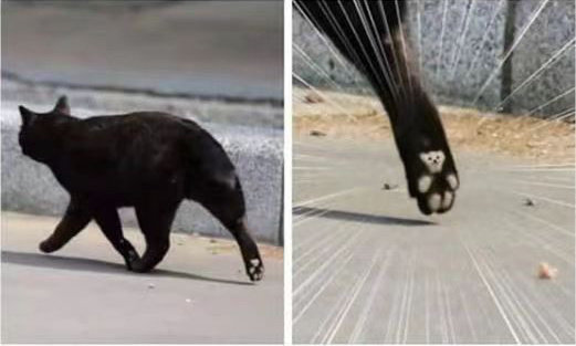 诶我 ​​​