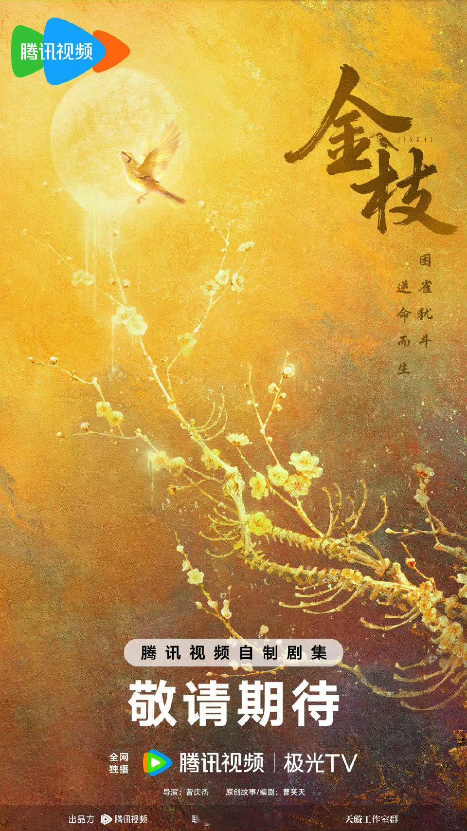 金枝 李一桐金枝女主李一桐李一桐演隐忍复仇类角色特别适配，《鹤唳华亭》里陆文昔就