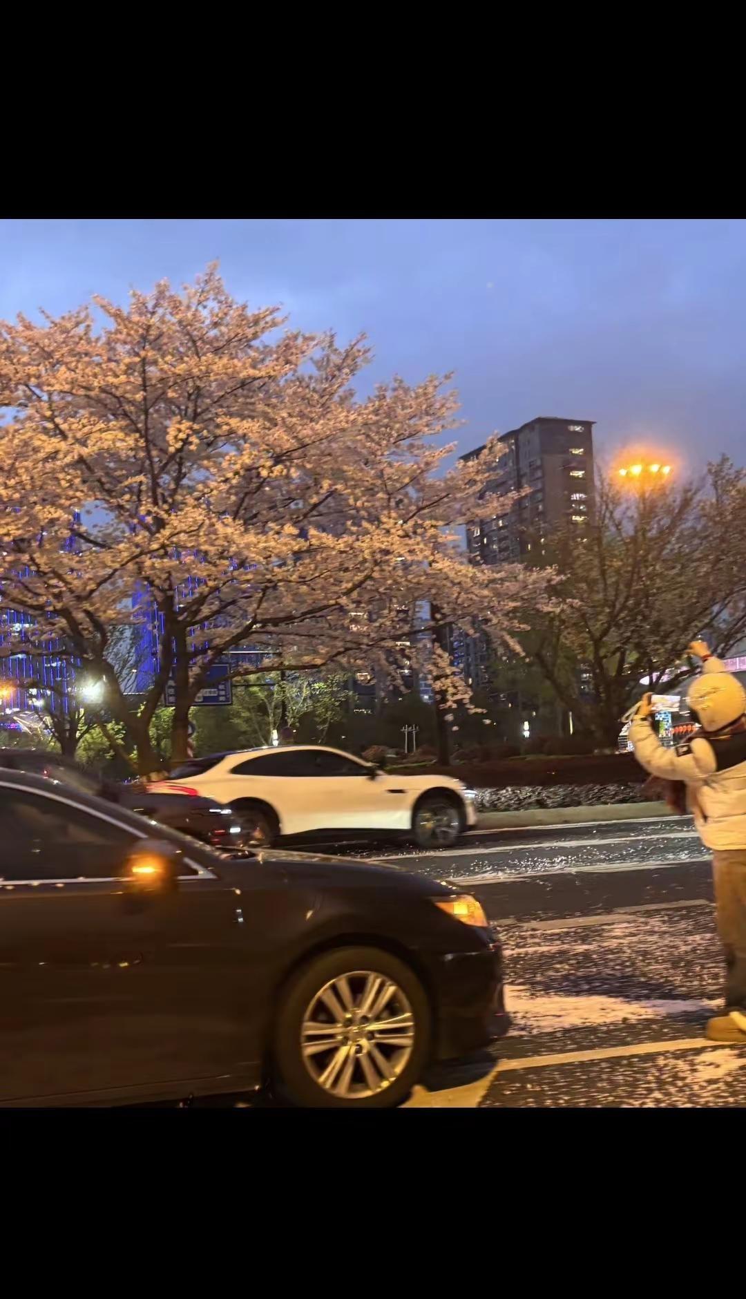 抱歉因为我的忧郁导致浙江一直下雨 浙江 @抖音热点 @抖音小助手 @抖音作者助手