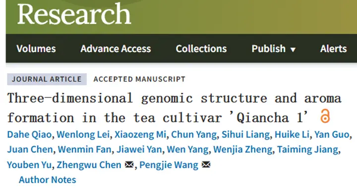 贵州省农科院茶叶研究所成功组装贵州首个茶树良种基因组