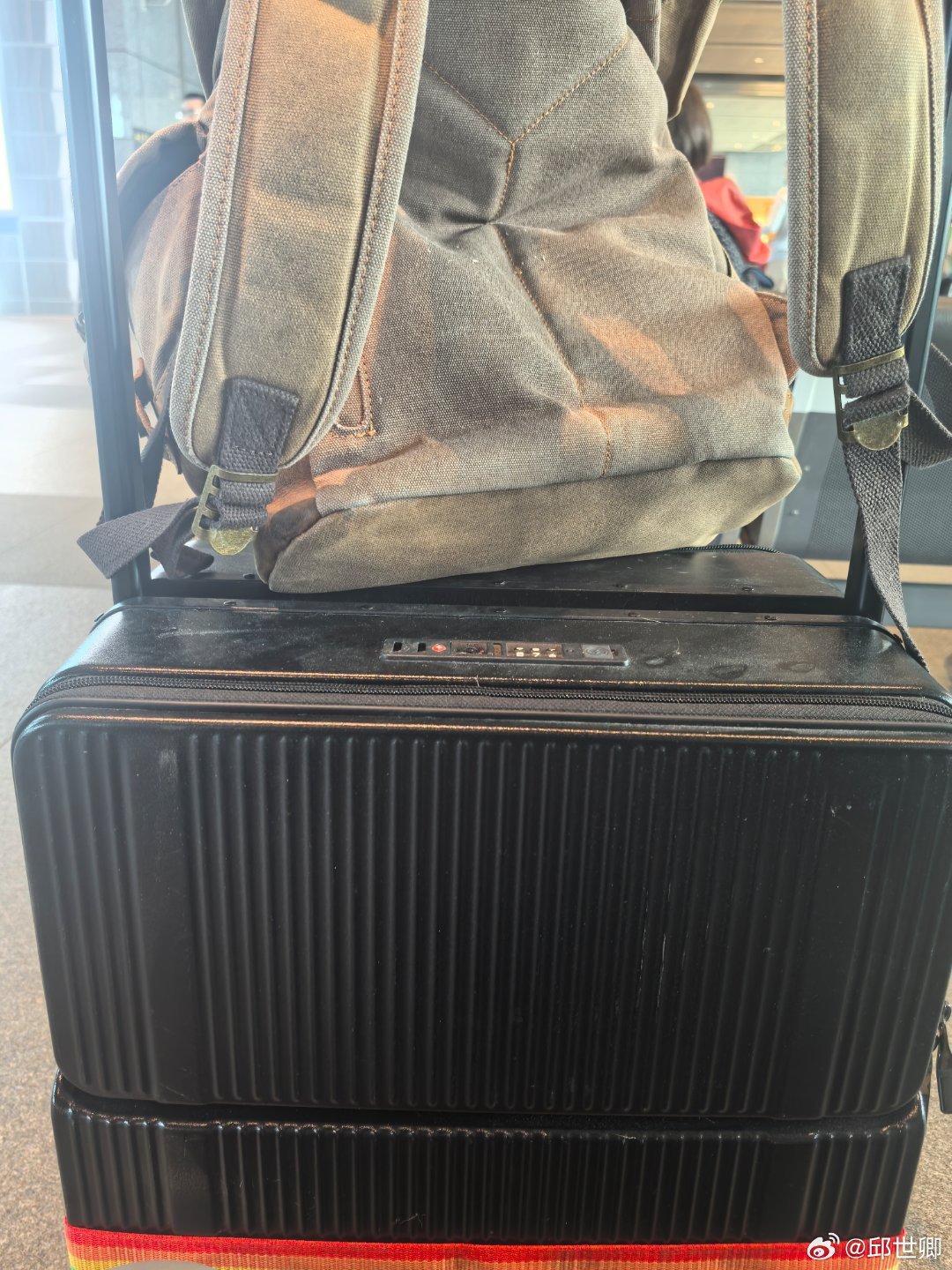 出門收拾行李，最困難的事情是必須不斷的把貓搬出行李箱，尤其是你有二隻不服管教的小