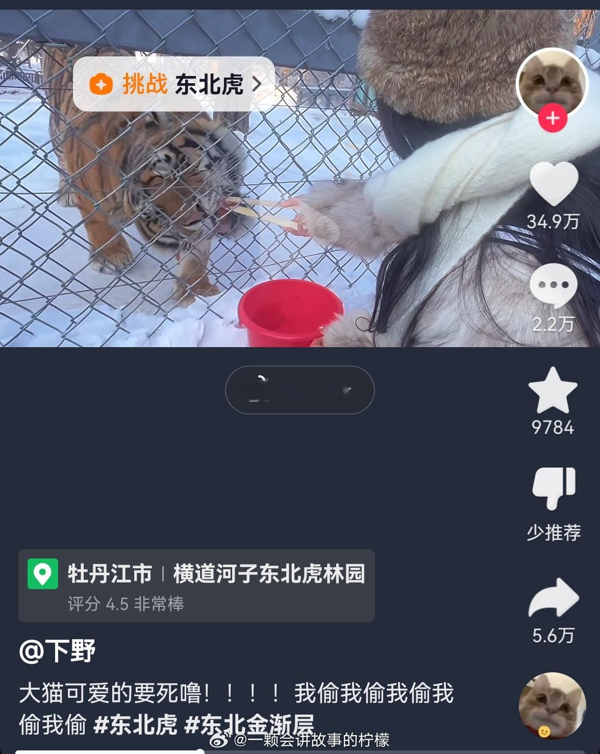 咪咪，我没想到你是这种咪咪，对外地游客和本地人还两副面孔，咪咪，你让我感到陌生[