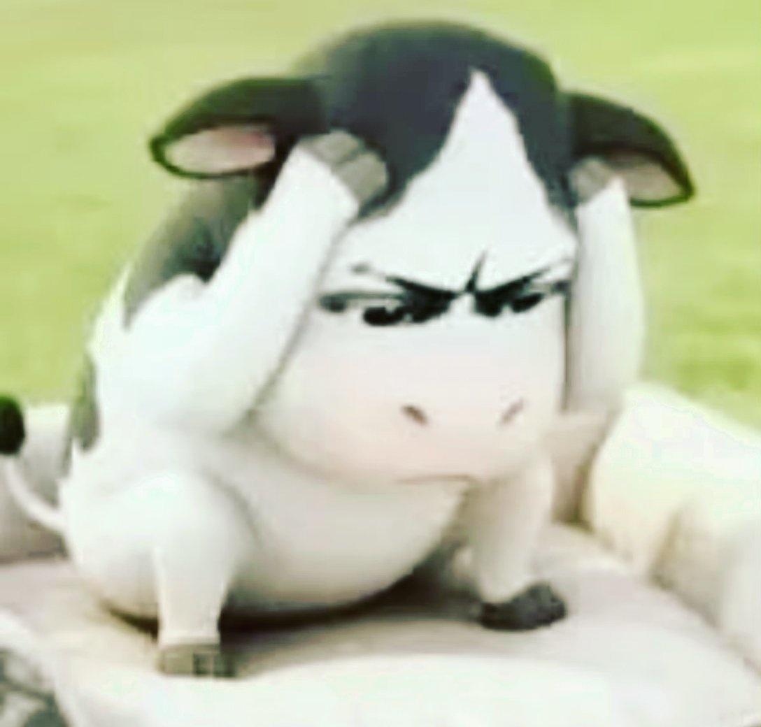 我早上本想强行出门上班的，一到楼下就被暴雨吓退回来了，立马给领导打电话请了一小时