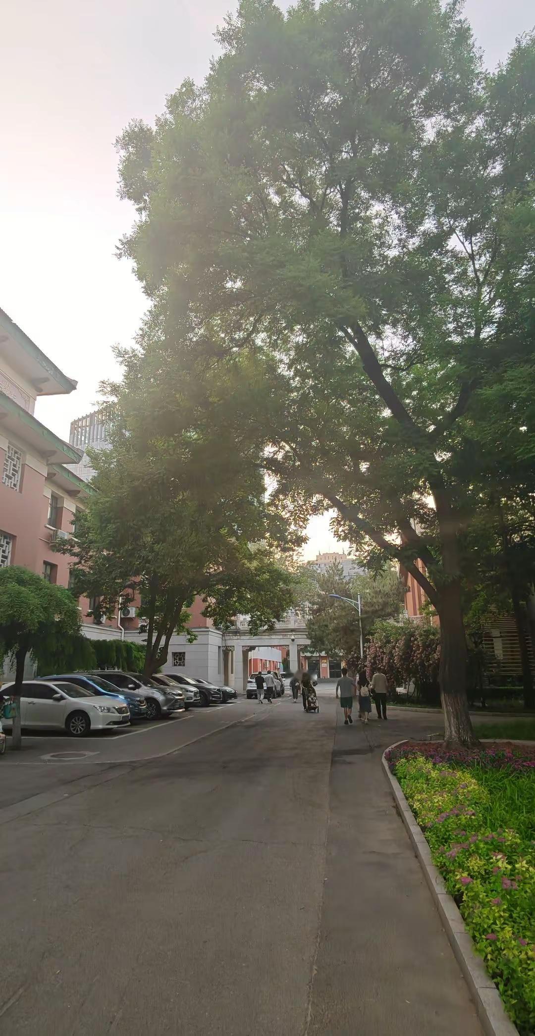 上热搜 校园