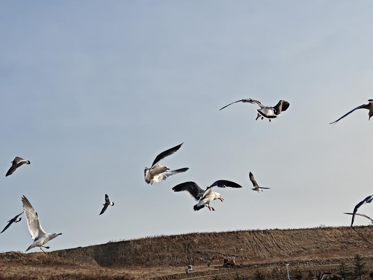 民间有句俗语，宁愿相信母猪能上树，也不要相信特朗普的嘴和美国的承诺。这不是吗，前