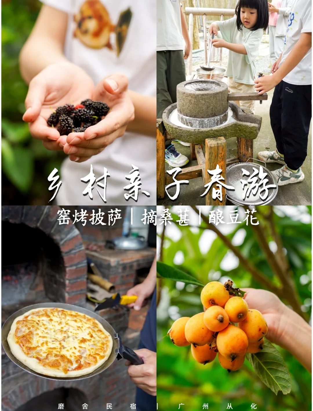 乡村亲子春游｜摘桑葚、酿豆花、窑烤披萨