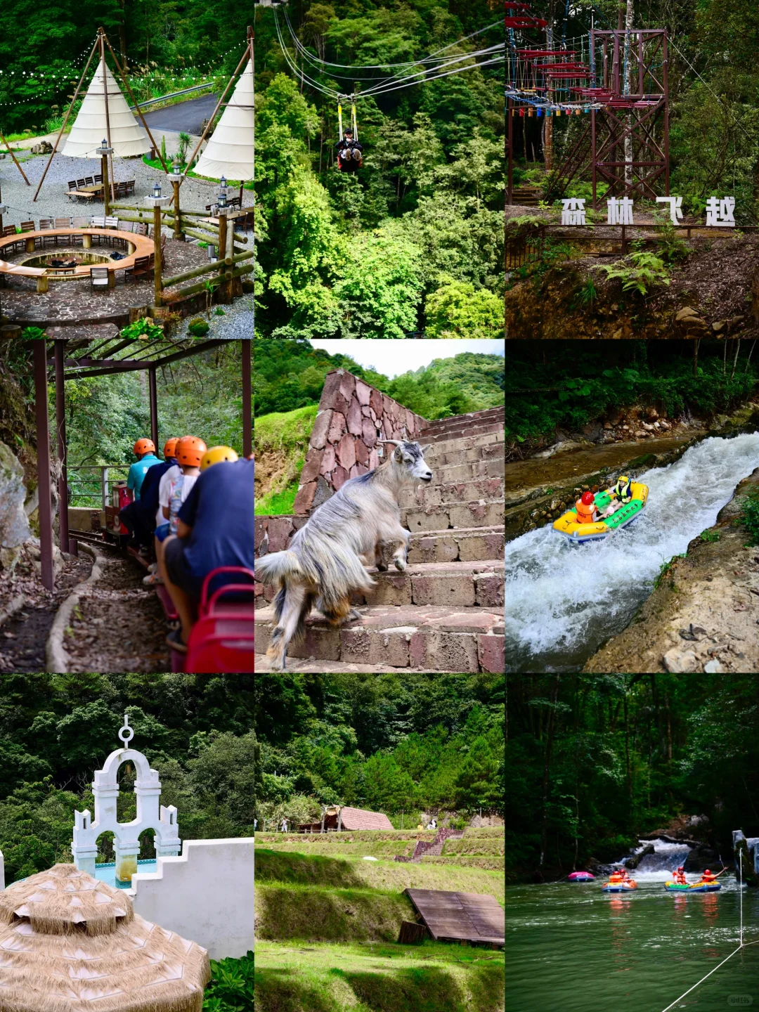 【夏日放晴计划:龙岩森林水乡的绿色卫士行动