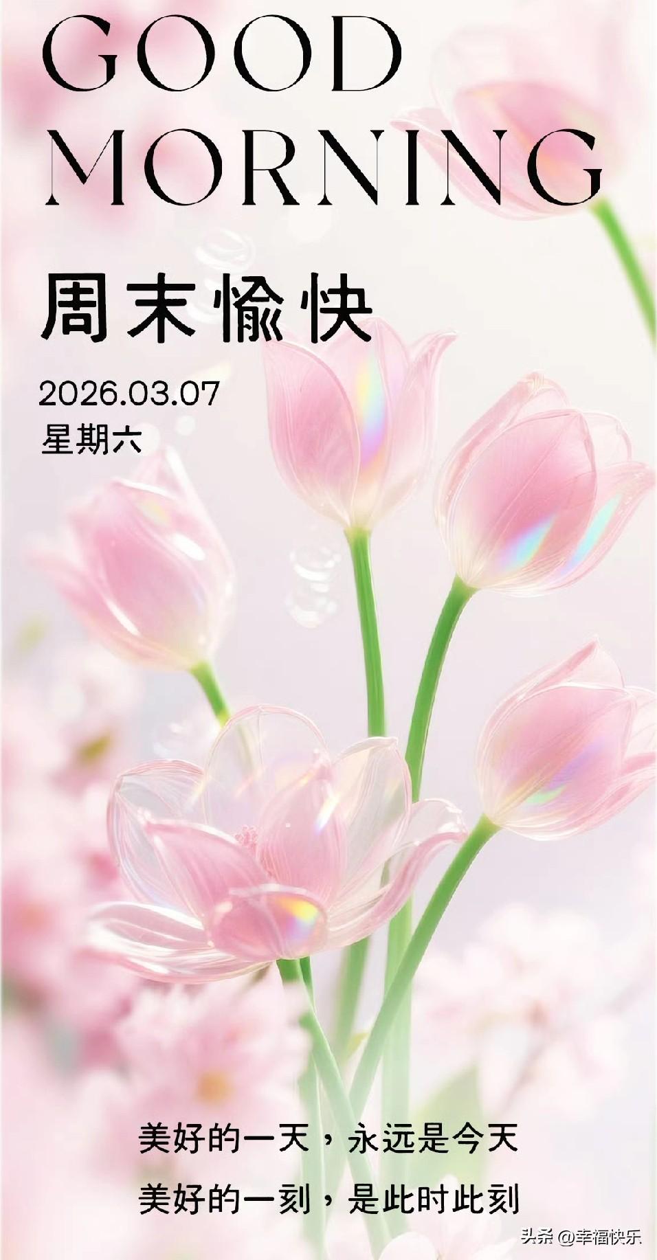 2026.03.07 
健康，快乐